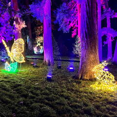 22-12-19 19-38-18 3671